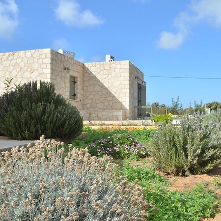 Kalypso Apartments Καστρί Εξωτερικό φωτογραφία