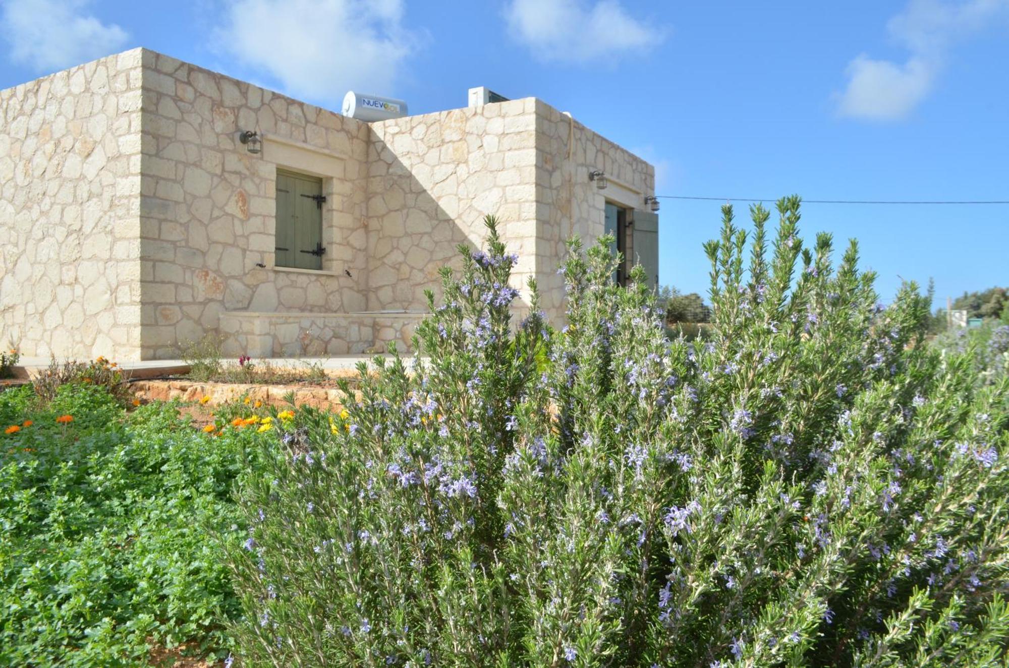 Kalypso Apartments Καστρί Εξωτερικό φωτογραφία